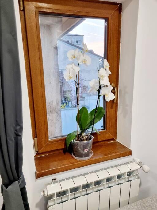 Cozy Apartment Near City Center Bukarest Exteriör bild